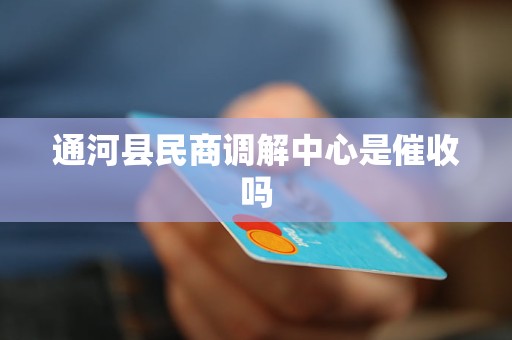 通河縣民商調解中心的角色 調解與金融機構委托的邊界探討