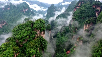 張家界武陵源 “旅游+”模式，激活全域旅游新動能