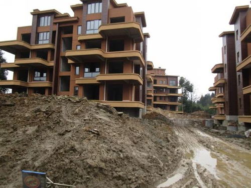 頭條丨 削山 一萬(wàn)八千畝 峨眉半山 康養(yǎng) 開(kāi)發(fā)亂象