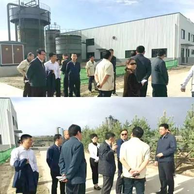 內蒙古自治區黨委常委、呼和浩特市委書記云光中一行蒞臨萬德斯環保項目現場視察指導